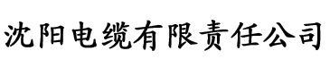 第一福利官方大导航电缆厂logo